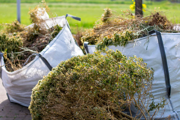 Full-Service Junk Removal in Mulberry, NC